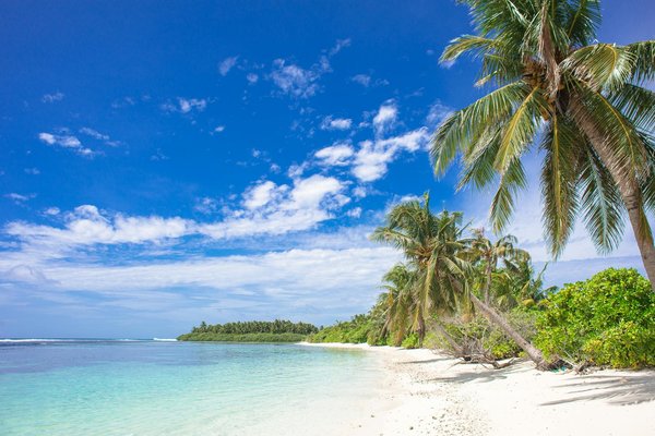 Découvrir le canoë en ardèche : l'aventure à portée de pagaie